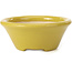 Round yellow bonsai pot by Shozan - 142 x 142 x 60 mm