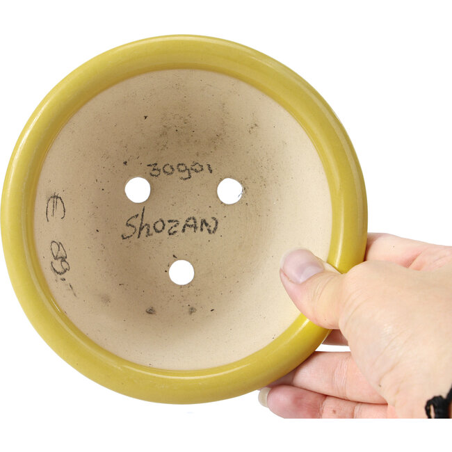 Pot à bonsaï rond jaune par Shozan - 142 x 142 x 60 mm