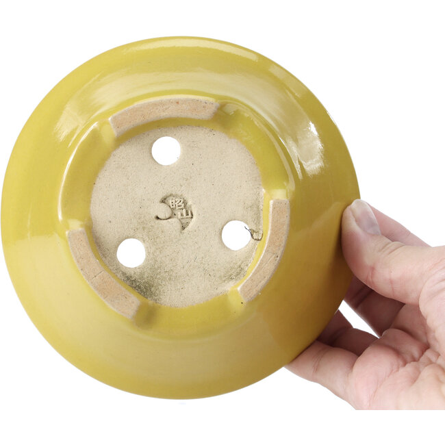 Maceta de bonsái redonda amarilla de Shozan - 142 x 142 x 60 mm