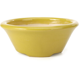 Shouzan  (Akira/Masami Watanabe) Pot à bonsaï rond jaune 142 mm par Shozan, Japon