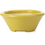 Pot à bonsaï rond jaune par Shozan - 142 x 142 x 60 mm