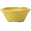 Vaso per bonsai rotondo giallo di Shozan - 142 x 142 x 60 mm