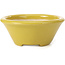 Vaso per bonsai rotondo giallo di Shozan - 142 x 142 x 60 mm