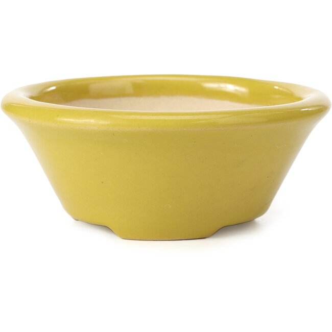 Round yellow bonsai pot by Shozan - 142 x 142 x 60 mm