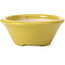 Pot à bonsaï rond jaune par Shozan - 142 x 142 x 60 mm