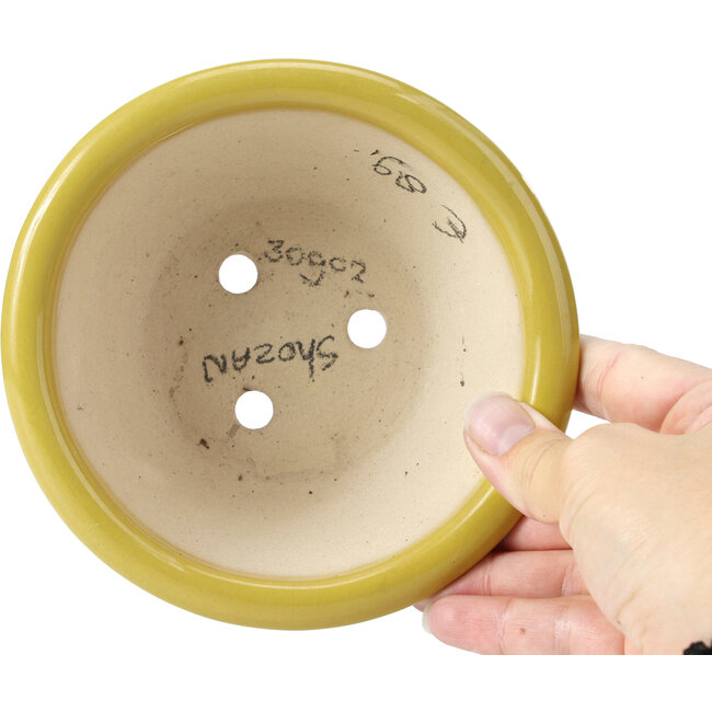 Ronde gele bonsaipot van Shozan - 142 x 142 x 60 mm