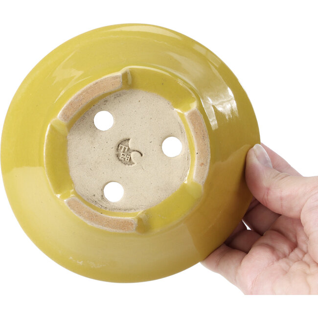 Runde gelbe Bonsaischale von Shozan - 142 x 142 x 60 mm