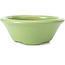 Pot à bonsaï rond vert par Shozan - 142 x 142 x 55 mm
