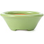 Pot à bonsaï rond vert par Shozan - 142 x 142 x 55 mm