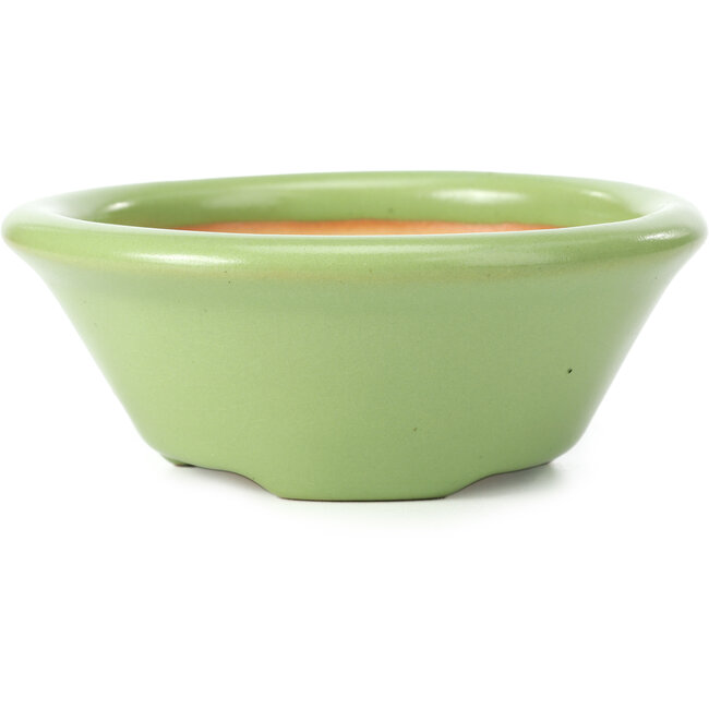 Pot à bonsaï rond vert par Shozan - 142 x 142 x 55 mm