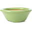 Pot à bonsaï rond vert par Shozan - 142 x 142 x 55 mm
