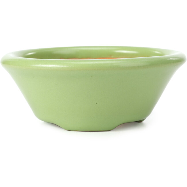 Maceta de bonsái verde redonda de Shozan - 142 x 142 x 55 mm