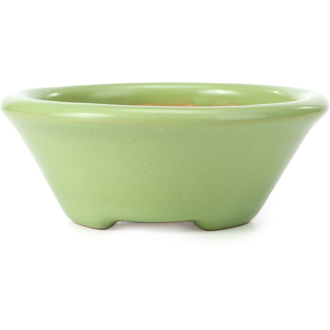 Round green bonsai pot by Shozan - 142 x 142 x 55 mm