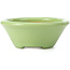 Pot à bonsaï rond vert par Shozan - 142 x 142 x 55 mm