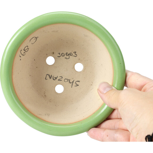 Maceta de bonsái verde redonda de Shozan - 142 x 142 x 55 mm