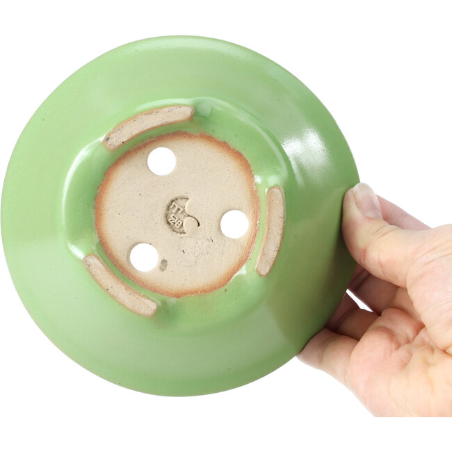 Pot à bonsaï rond vert par Shozan - 142 x 142 x 55 mm