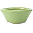 Pot à bonsaï rond vert par Shozan - 121 x 121 x 55 mm