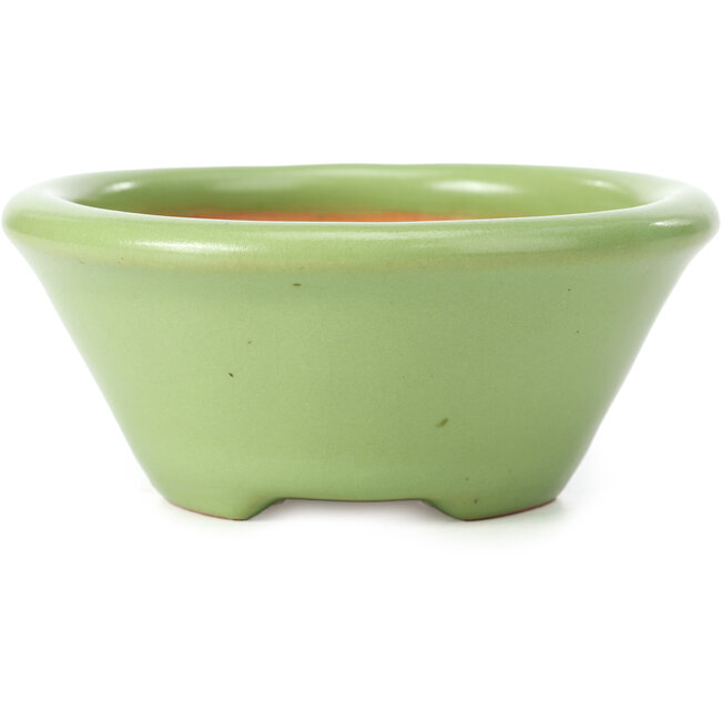 Pot à bonsaï rond vert par Shozan - 121 x 121 x 55 mm