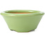 Pot à bonsaï rond vert par Shozan - 121 x 121 x 55 mm
