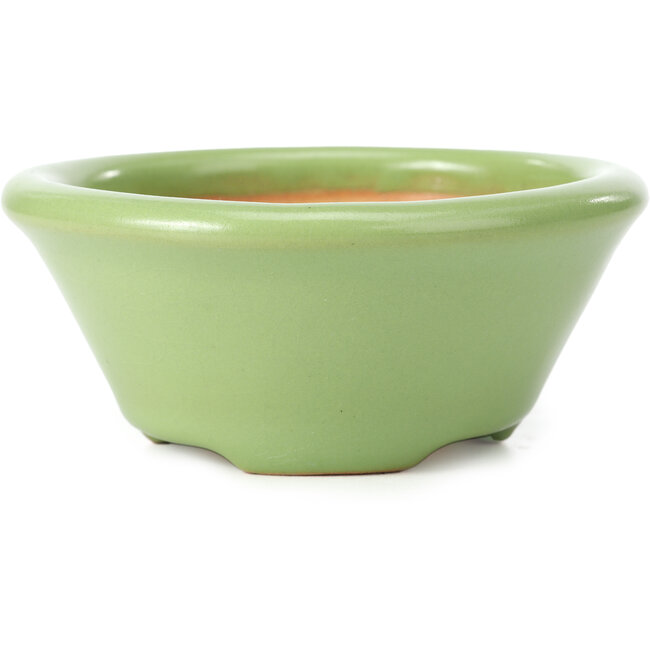 Vaso per bonsai verde rotondo di Shozan - 121 x 121 x 55 mm