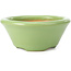 Pot à bonsaï rond vert par Shozan - 121 x 121 x 55 mm