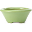 Pot à bonsaï rond vert par Shozan - 121 x 121 x 55 mm