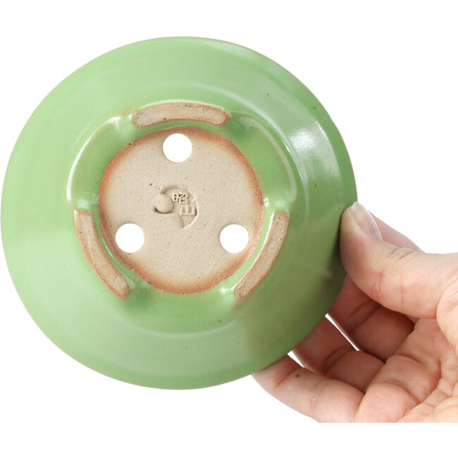 Runde grüne Bonsaischale von Shozan - 121 x 121 x 55 mm