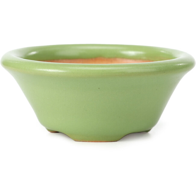 Maceta de bonsái verde redonda de Shozan - 104 x 104 x 45 mm