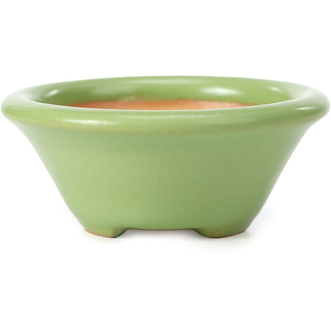 Vaso per bonsai verde rotondo di Shozan - 104 x 104 x 45 mm