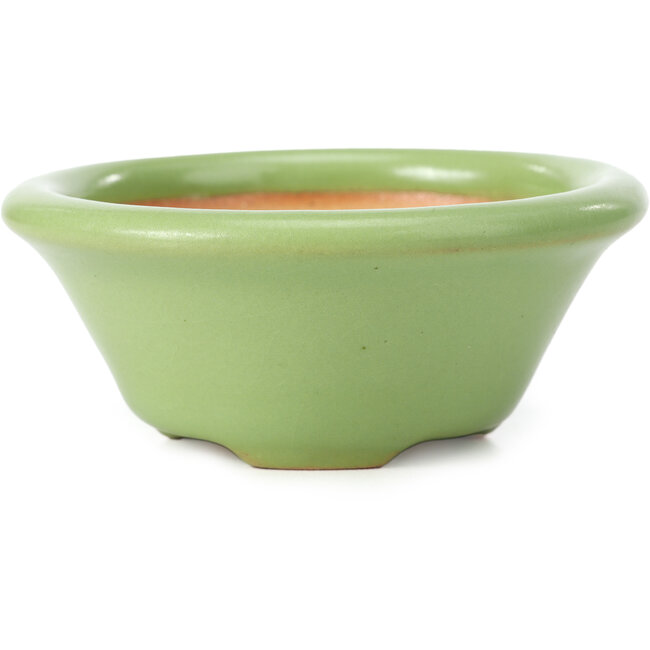 Vaso per bonsai verde rotondo di Shozan - 104 x 104 x 45 mm