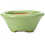 Maceta de bonsái verde redonda de Shozan - 104 x 104 x 45 mm