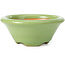 Pot à bonsaï rond vert par Shozan - 102 x 102 x 47 mm