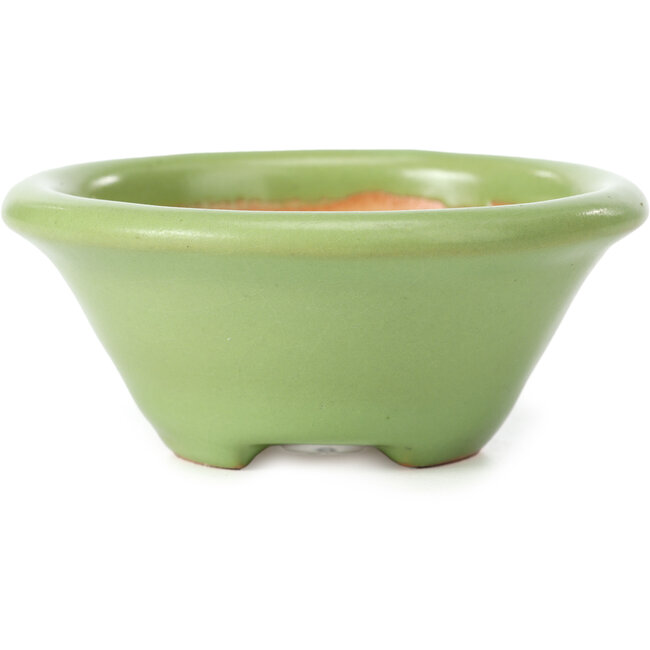 Maceta de bonsái redonda verde de Shozan - 102 x 102 x 47 mm