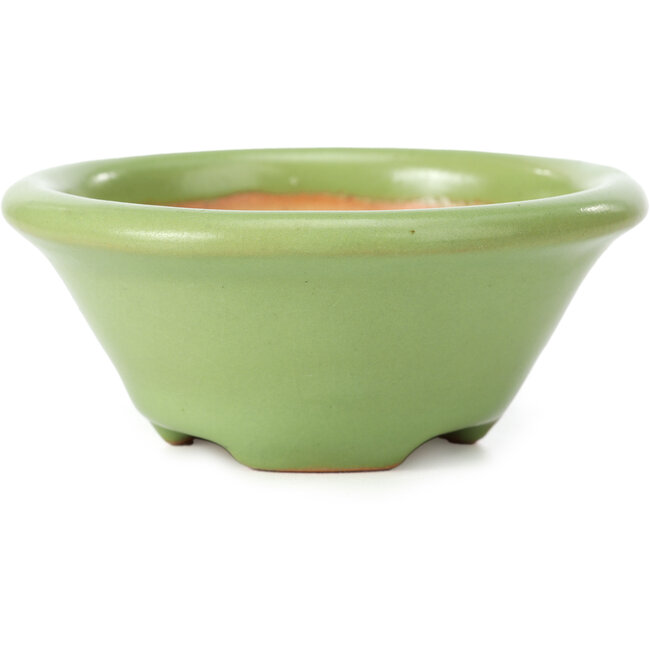 Round green bonsai pot by Shozan - 102 x 102 x 47 mm