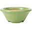Maceta de bonsái redonda verde de Shozan - 102 x 102 x 47 mm