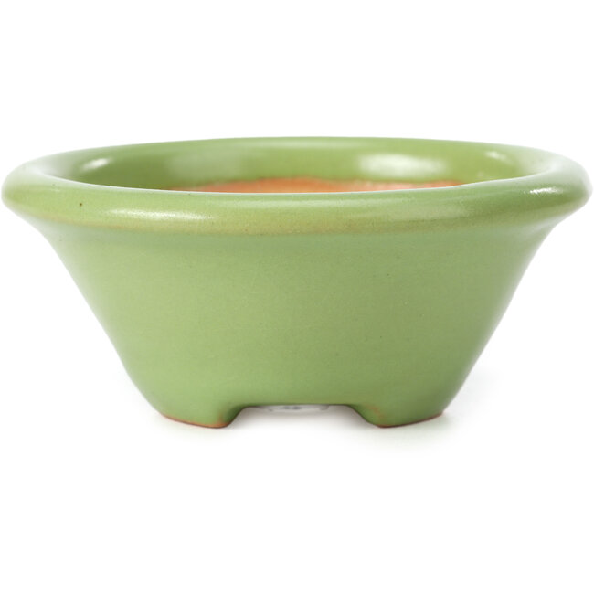 Maceta de bonsái redonda verde de Shozan - 102 x 102 x 47 mm