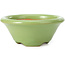 Pot à bonsaï rond vert par Shozan - 102 x 102 x 47 mm