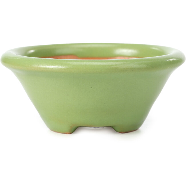 Round green bonsai pot by Shozan - 102 x 102 x 47 mm