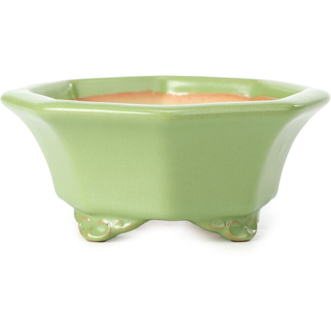 Vaso per bonsai verde ottagonale di Shozan - 135 x 126 x 54 mm