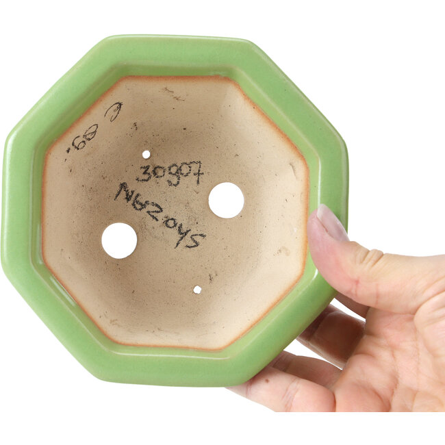 Maceta de bonsái verde octogonal de Shozan - 135 x 126 x 54 mm