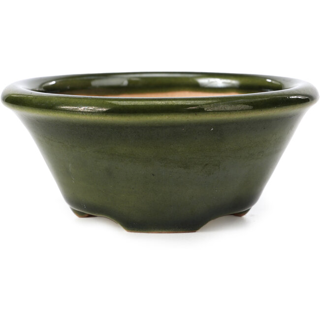 Round green bonsai pot by Shozan - 121 x 121 x 55 mm