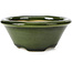 Round green bonsai pot by Shozan - 121 x 121 x 55 mm