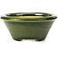 Pot à bonsaï rond vert par Shozan - 121 x 121 x 55 mm