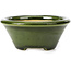 Round green bonsai pot by Shozan - 121 x 121 x 55 mm