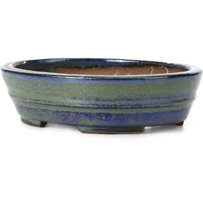 Vaso per bonsai ovale blu e verde di Shibakatsu - 125 x 100 x 34 mm
