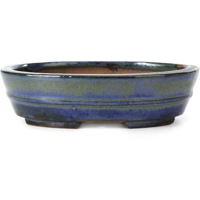 Maceta de bonsái ovalada azul y verde de Shibakatsu - 125 x 100 x 34 mm