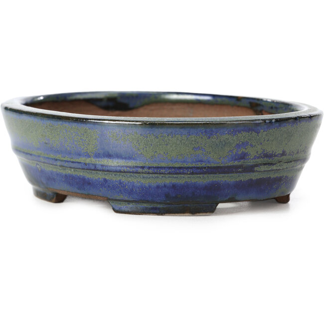 Vaso per bonsai ovale blu e verde di Shibakatsu - 125 x 100 x 34 mm