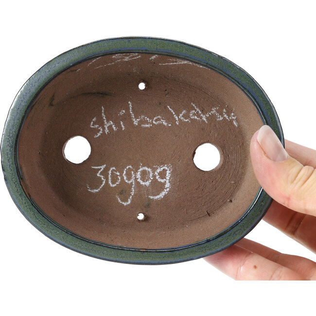 Ovale blaue und grüne Bonsaischale von Shibakatsu - 125 x 100 x 34 mm