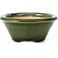 Round green bonsai pot by Shozan - 121 x 121 x 55 mm