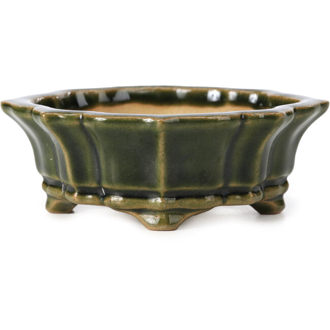 Mokko green bonsai pot by Shozan - 107 x 90 x 39 mm